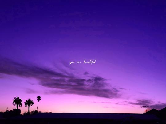 Purple Aesthetic Desktop Wallpapers