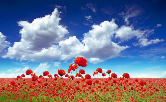 Sky Wallpapers HD
