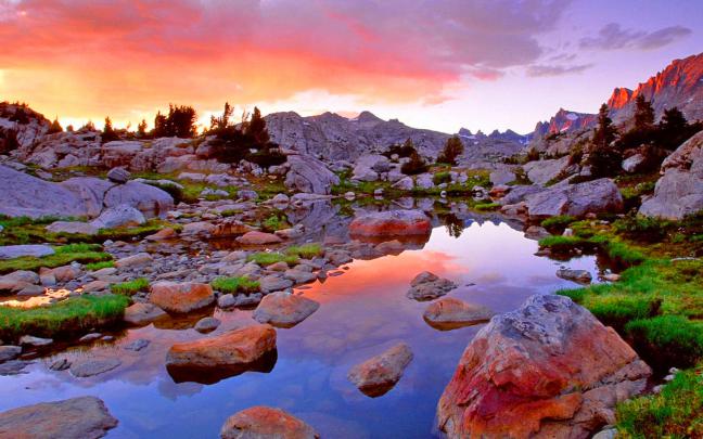 Cool And Beautiful Nature Desktop Wallpaper Image 1680x1050 