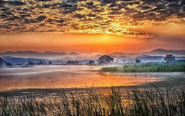 Sunrise Landscape Photography Early Morning Swamp Evaporation Streaming 