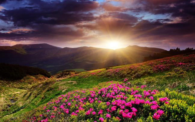 Sunrise Desktop Backgrounds