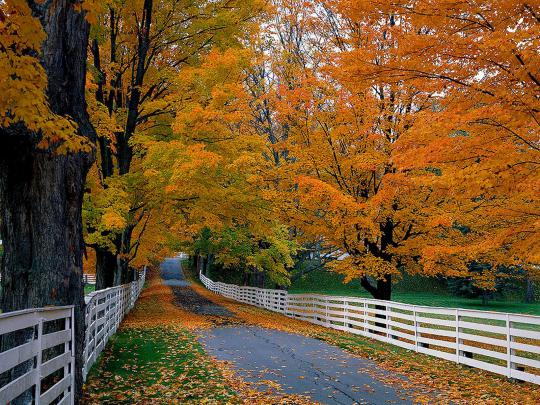 wallpapers: Autumn Scenery Desktop Wallpapers