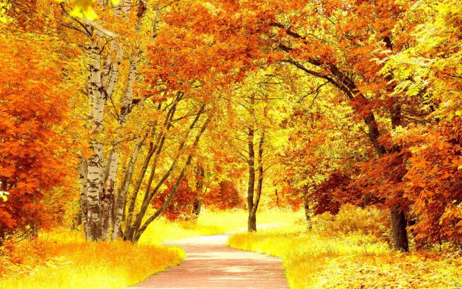 Fall Scenery Backgrounds