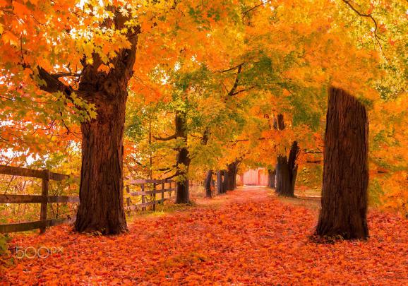 Windows Autumn Wallpapers