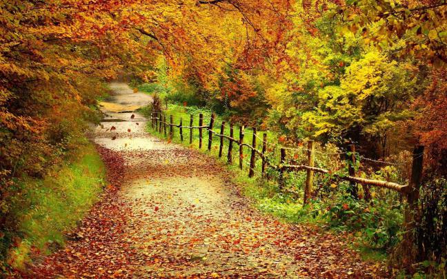 Desktop Fall Wallpapers High Quality