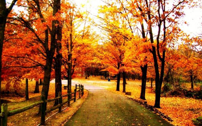 Beautiful Fall Backgrounds