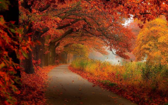 Fall Scenery Desktop Backgrounds HD