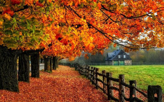 Autumn Wallpaper Examples for Your Desktop Background