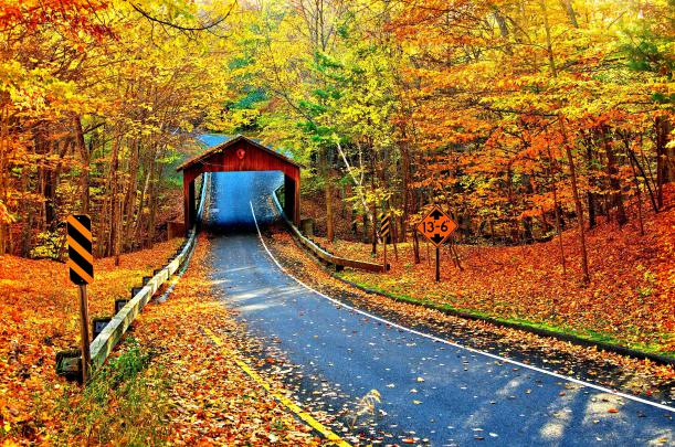 Fall Foliage Wallpapers For Desktop