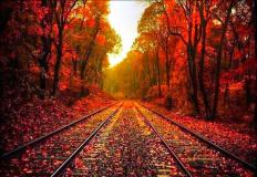 Fall Desktop Wallpaper