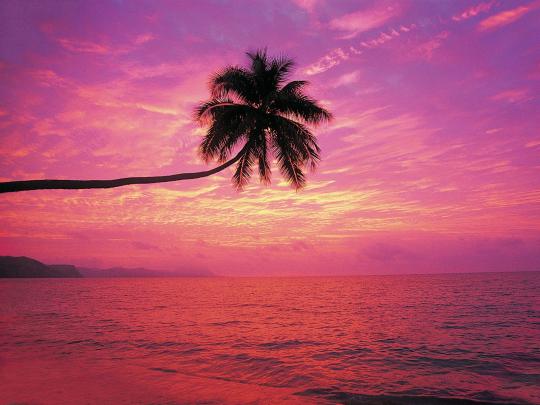 Aesthetic Beach Horizontal Wallpapers