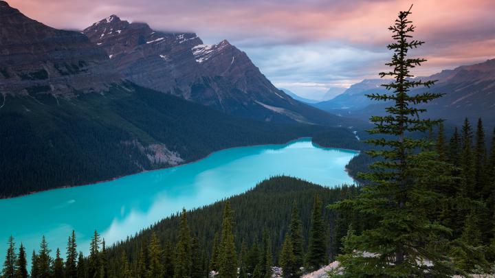 Best 1440p Wallpapers (75+ images)