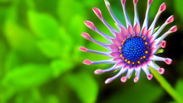 Best Wallpapers for Laptop HD (58+ images)