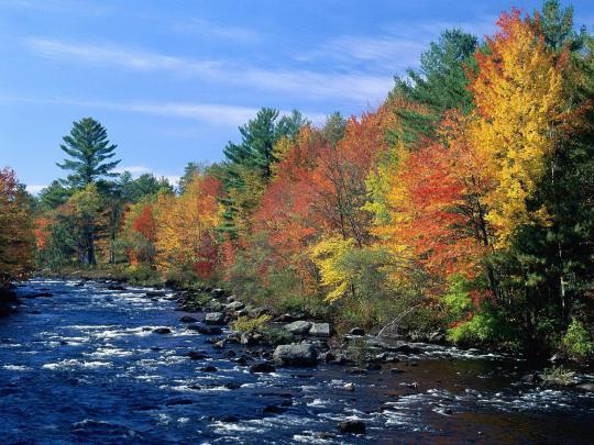 Free Desktop Wallpapers Fall Scenes