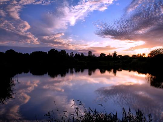 The Wallpaper Backgrounds..: Free Desktop Backgrounds