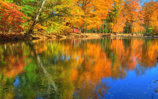 Fall Desktop Wallpapers Free