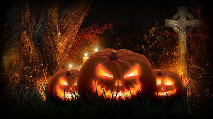 Halloween Pumpkin Backgrounds