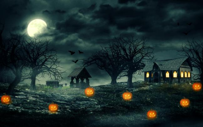 Pumpkin Halloween HD Wallpaper
