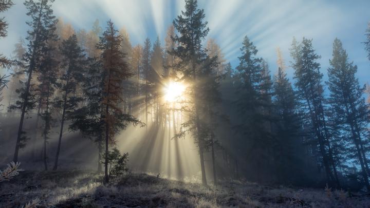 sunshine background images - HD Desktop Wallpapers