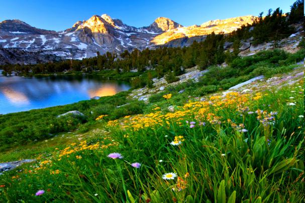 [47+] Free Spring Desktop Wallpapers Nexus 
