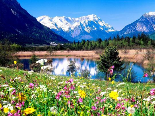 HD Spring Wallpapers For Desktop