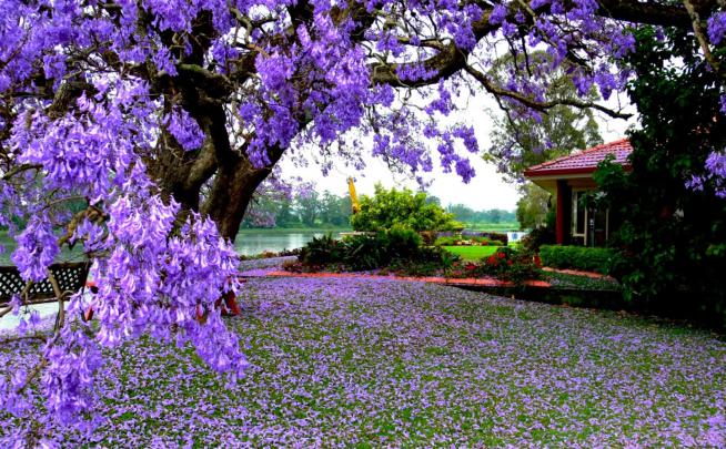 Nature Spring Wallpapers Desktop | All Wallpapers Desktop