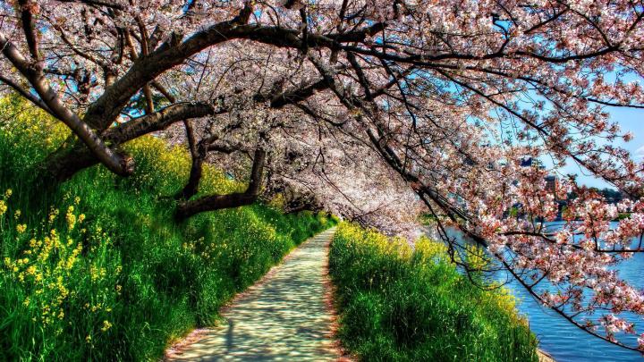 Spring Wallpapers 1920x1080