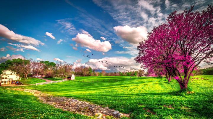 Landscape beautiful spring nature - HD wallpaper Wallpaper Download 