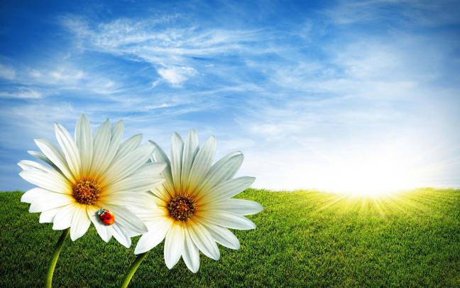 HDMOU: TOP 9 WONDERFUL SPRING WALLPAPERS IN HD