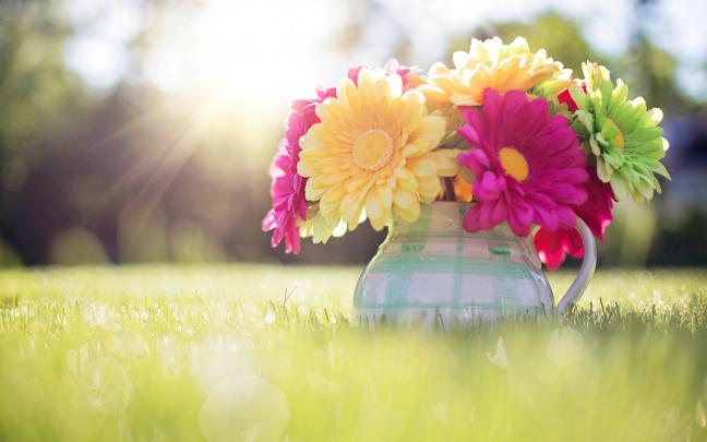 Spring Backgrounds Desktop \u00b7\u2460 
