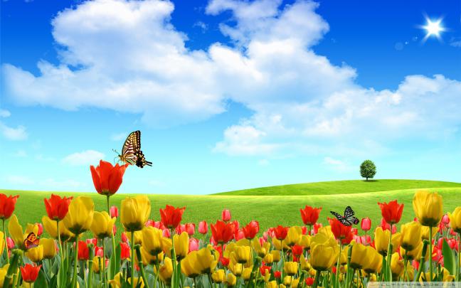 Spring Desktop Backgrounds Wallpapers (75+ images)