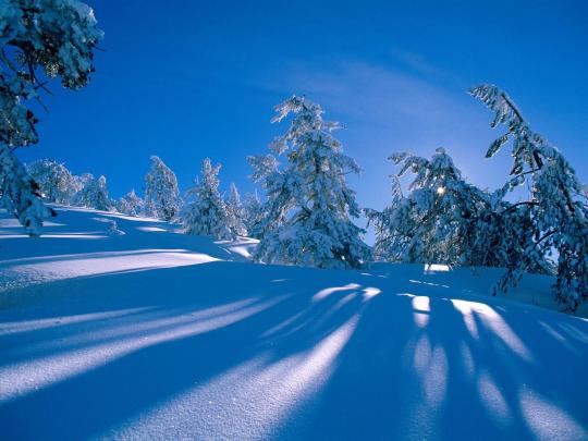wallpaper: Winter Desktop Wallpapers and Backgrounds