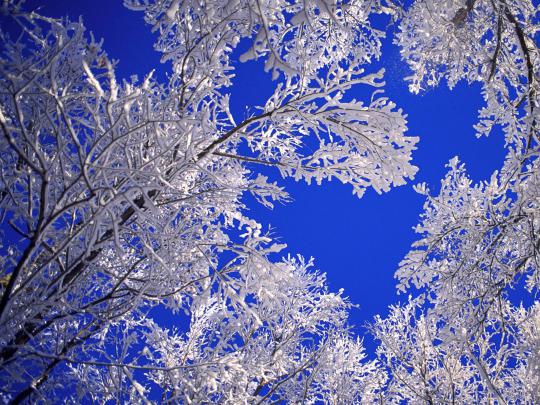 Free Desktop Wallpapers Winter Scenes
