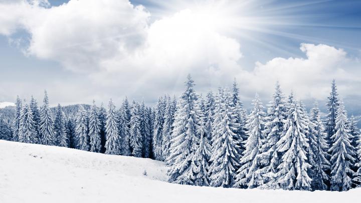Snowy Winter Wallpapers High Quality | Download Free