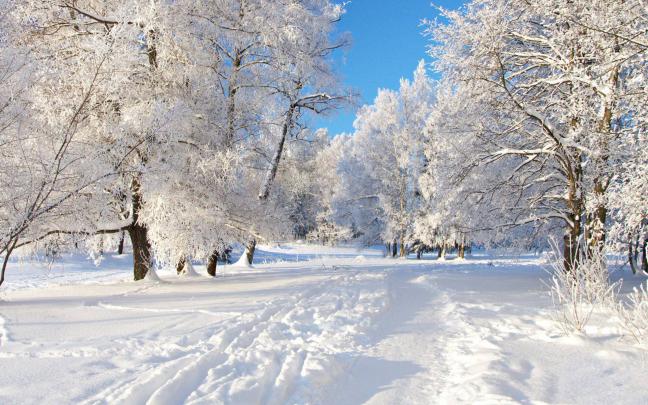 Winter Desktop Wallpapers