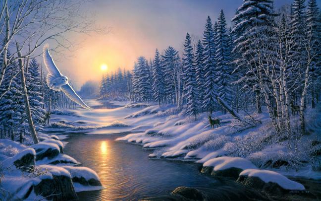 Winter Wallpaper Backgrounds \u00b7\u2460 