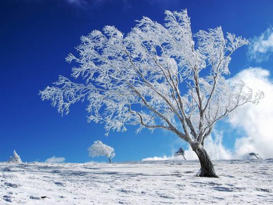 wallpaper: Winter Desktop Wallpapers and Backgrounds