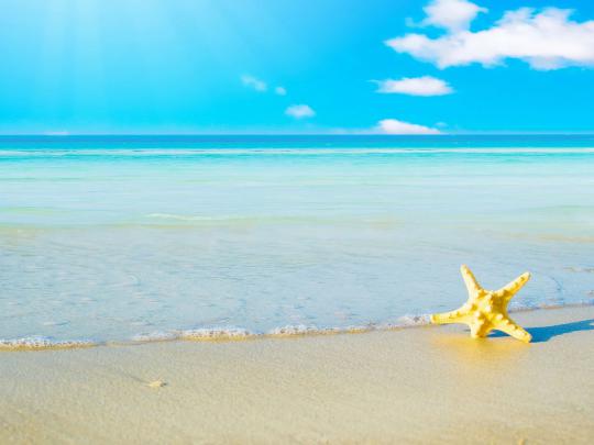 Beach Wallpapers