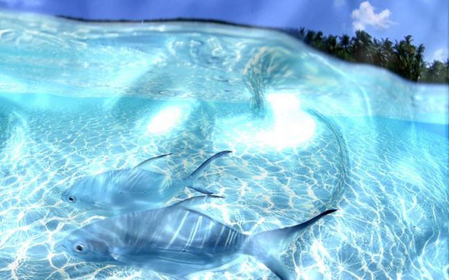 Best Live Wallpapers For Pc \/ Best Live Wallpaper For PC |  