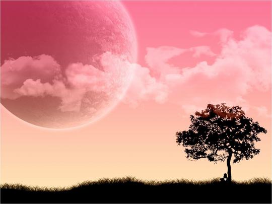 Free Pink Wallpapers For Desktop