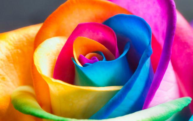 22 Pink Wallpaper Backgrounds in HD For Download
