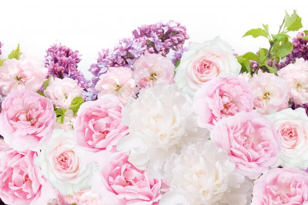 Light Pink Peonies Bouquet Wallpapers