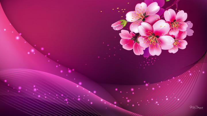 Dark Pink Wallpapers HD