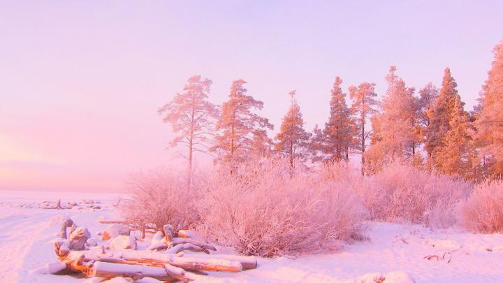 Light Pink Wallpapers HD
