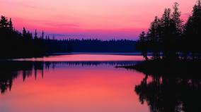 Pink Desktop Wallpaper