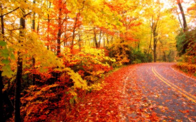 Autumn Desktop Wallpaper