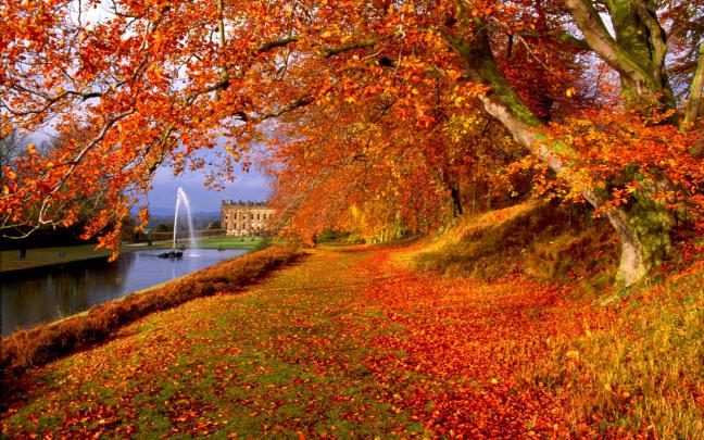 Free Fall Backgrounds Desktop