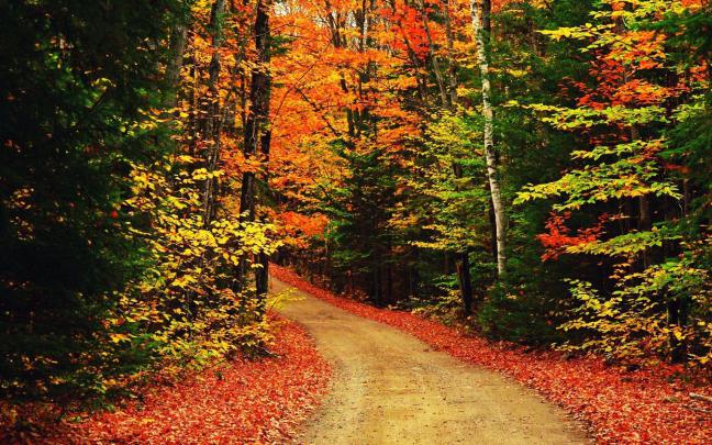 Free Desktop Wallpapers Fall Scenes