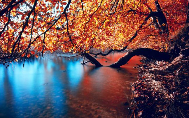 Beautiful Autumn Wallpapers