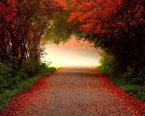 Free Autumn Desktop Wallpaper Backgrounds